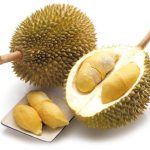 cara-memilih-durian-1.2