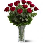 a_dozen_premium_red_roses_33