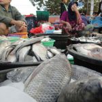 pasar-ikan-air-tawar-konsumsi-600×400