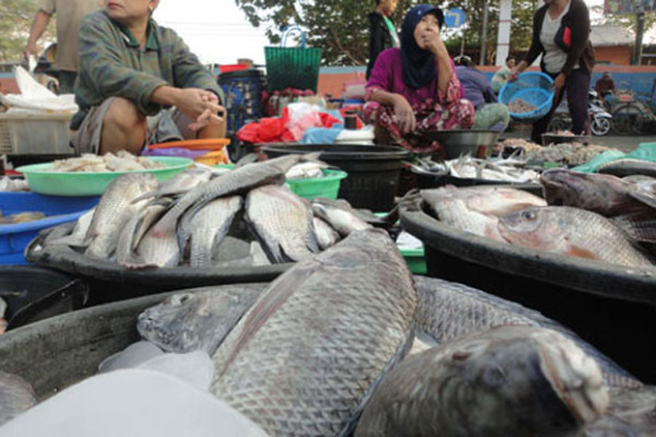 pasar-ikan-air-tawar-konsumsi-600x400