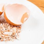 kulit telur – usir tikus
